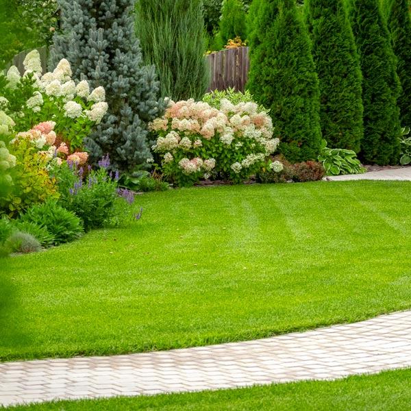 Landscape Installation Services by Pro Landscape Utah