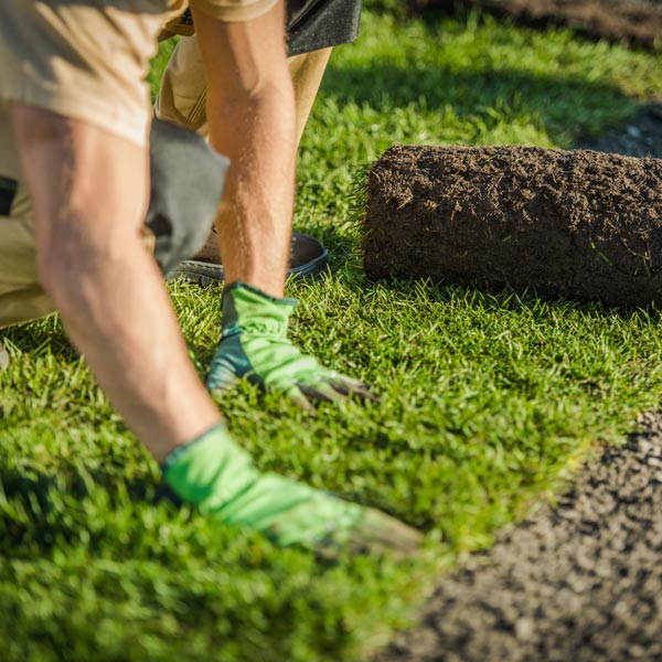 Sod Topsoil And Mulch Installation in Davis County, UT