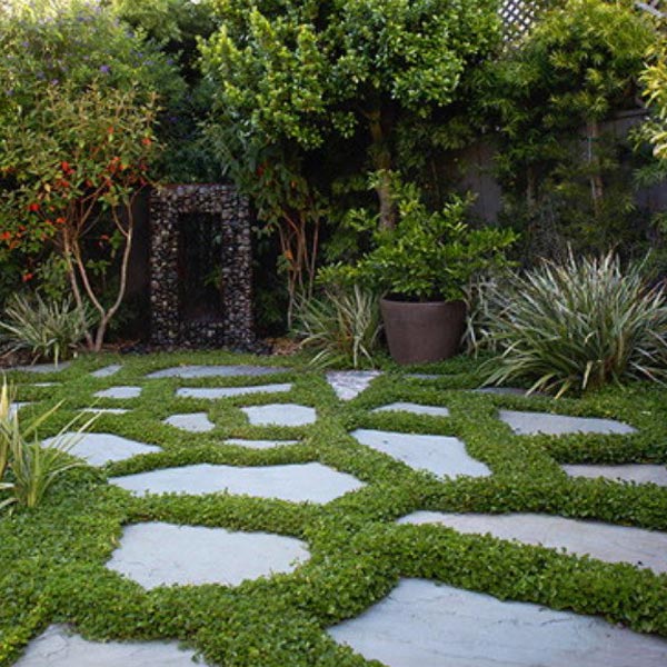 Stepping Stones in Backyard by Pro Landscape Utah in Davis County, UT