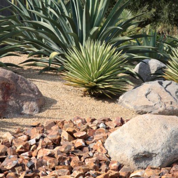 Xeriscaping and Zeroscaping in Davis County, UT