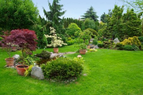 Landscape Design Ideas Around Trees by Pro Landscape, Utah