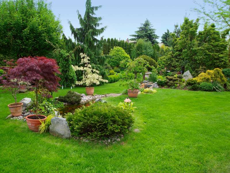 Landscape Design Ideas Around Trees by Pro Landscape, Utah